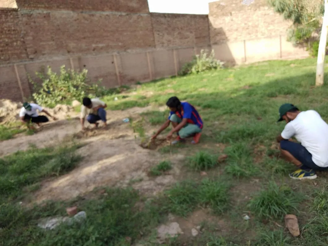 Green Seekers Activity